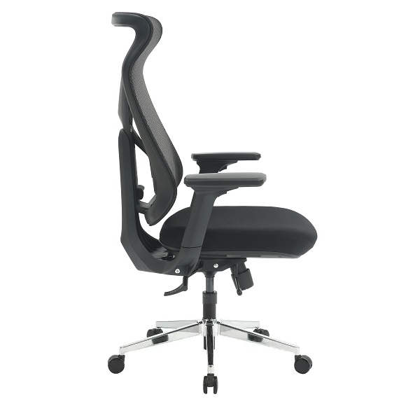 Ergonomska radna stolica LIZA